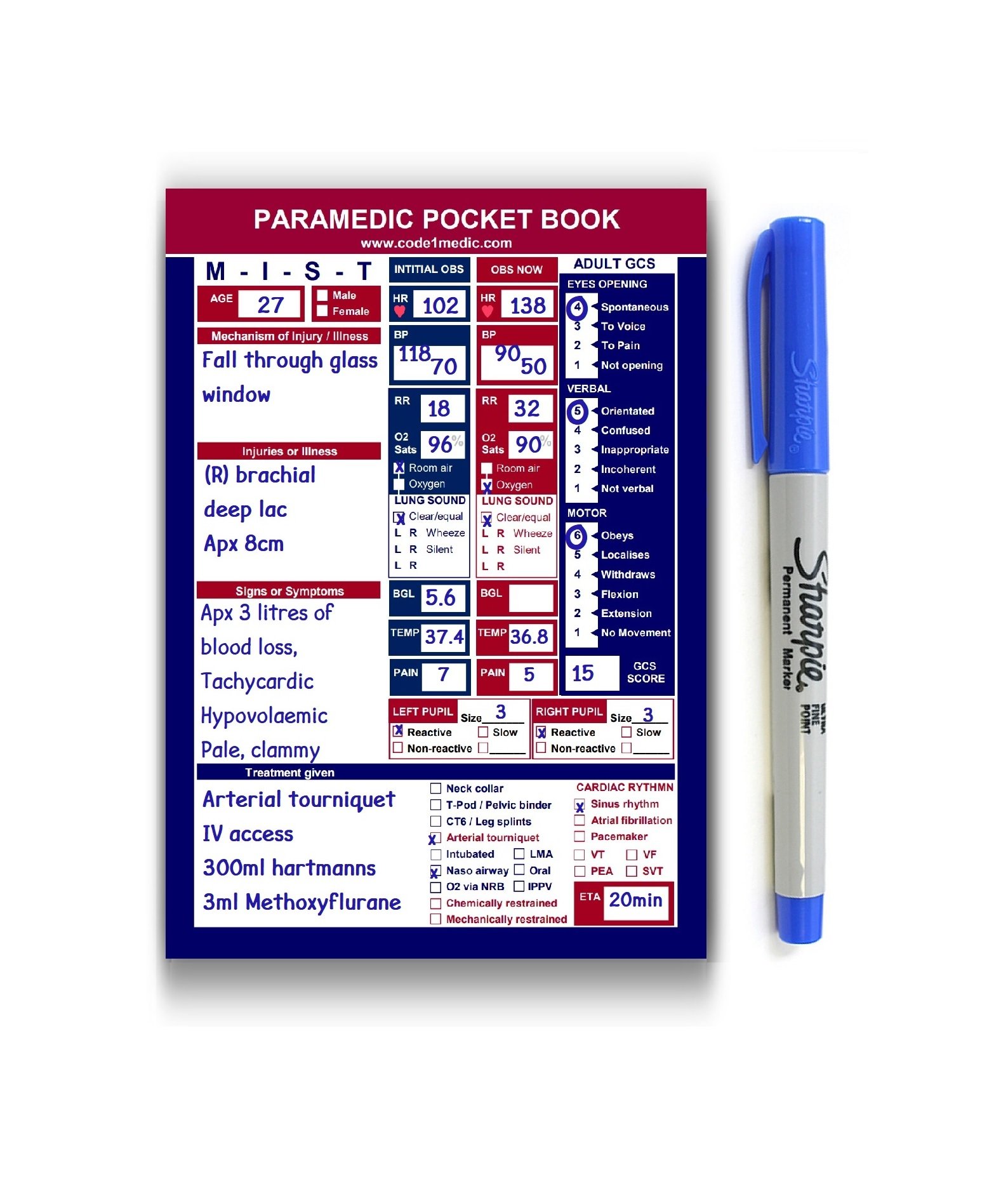 PARAMEDIC POCKET BOOK - Image 2