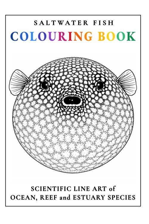 SALTWATER FISH COLOURING BOOK