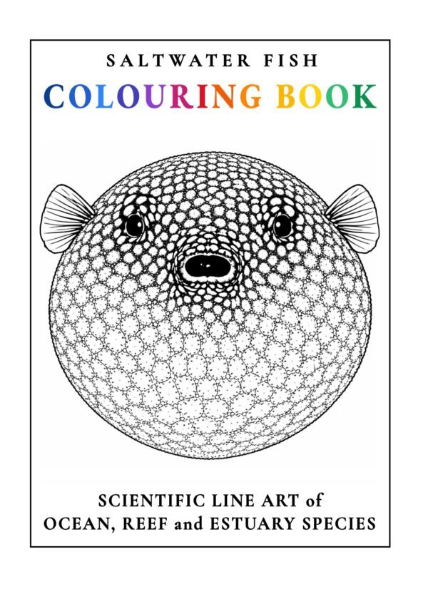 SALTWATER FISH COLOURING BOOK