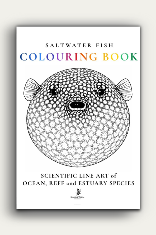 SALTWATER FISH COLOURING BOOK