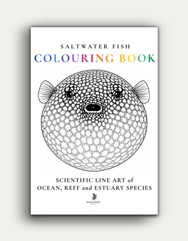 SALTWATER FISH COLOURING BOOK