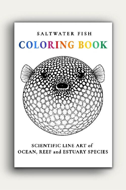 SALTWATER FISH COLOURING BOOK