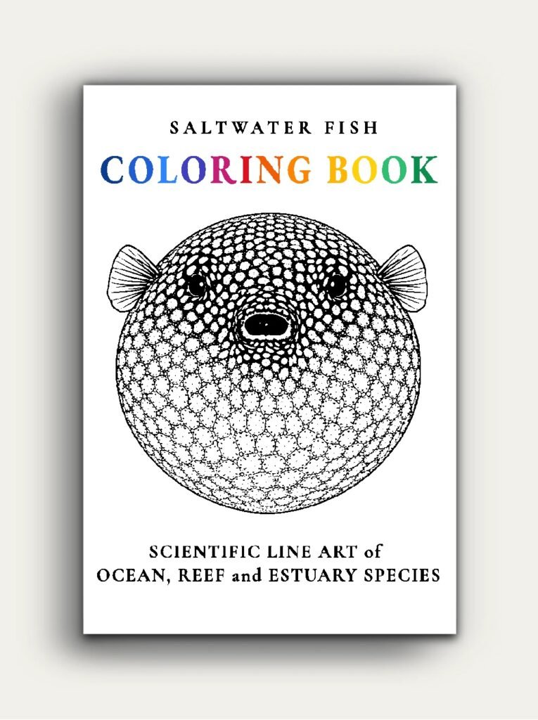 SALTWATER FISH COLOURING BOOK